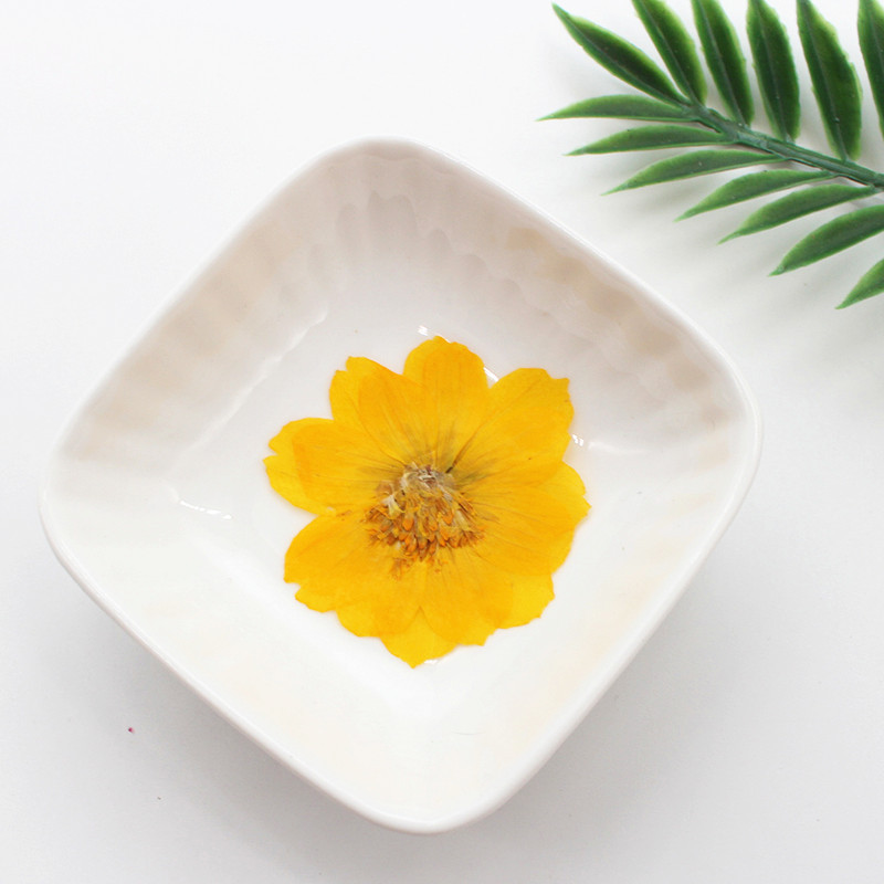 Resin Art Bookmark - 100Pcs Sulfur Chrysanthemum Pressed Flower Materials