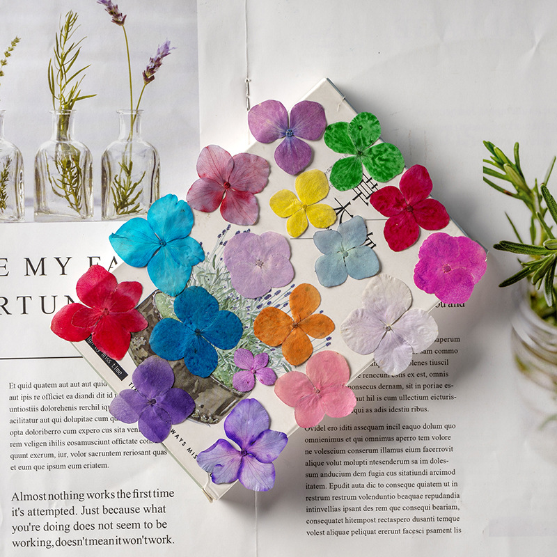 60Pcs Anna Hydrangea Color-Abs - Resin Art Bookmark review and price