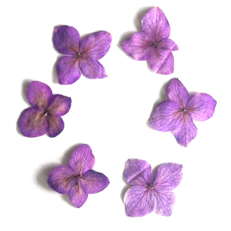 60Pcs Anna Hydrangea Color-Abs - Resin Art Bookmark review and price