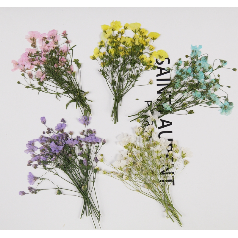250pcs Pressed Dried Gypsophil - Resin Art Bookmark review and price