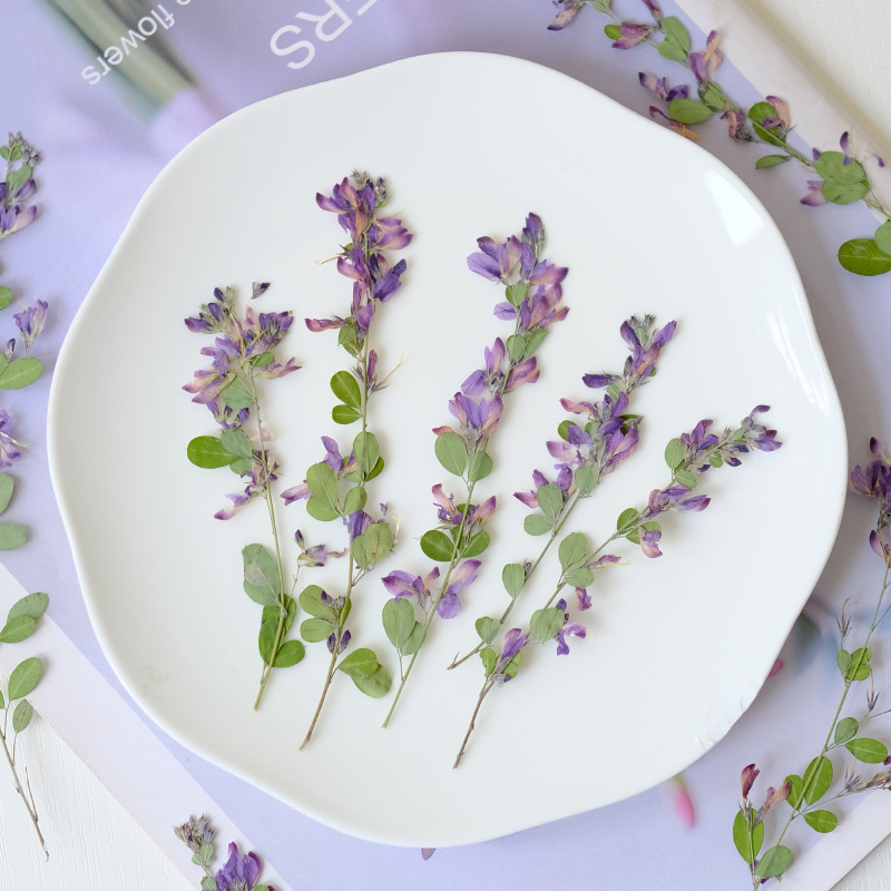 6pcs,nature Lespedeza Formosa  - Resin Art Bookmark review and price