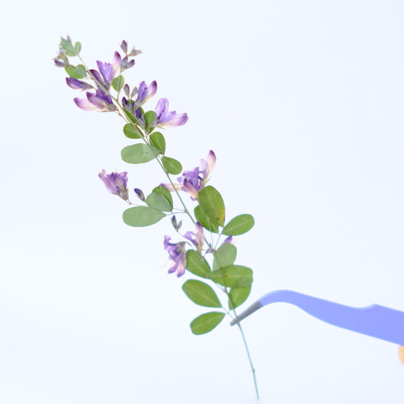 6pcs,nature Lespedeza Formosa  - Resin Art Bookmark review and price