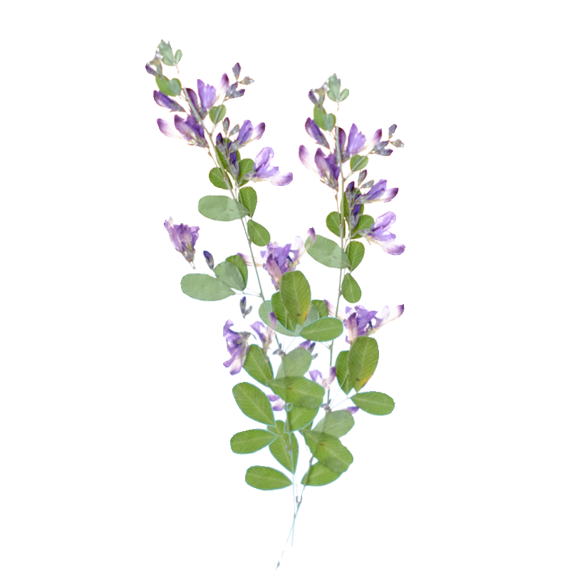 6pcs,nature Lespedeza Formosa  - Resin Art Bookmark review and price