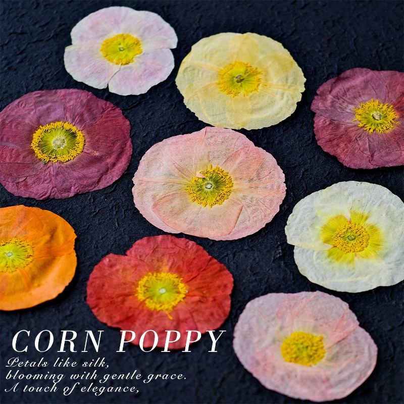 1pcs,Nature Field Poppy Presse - Resin Art Mold review and price