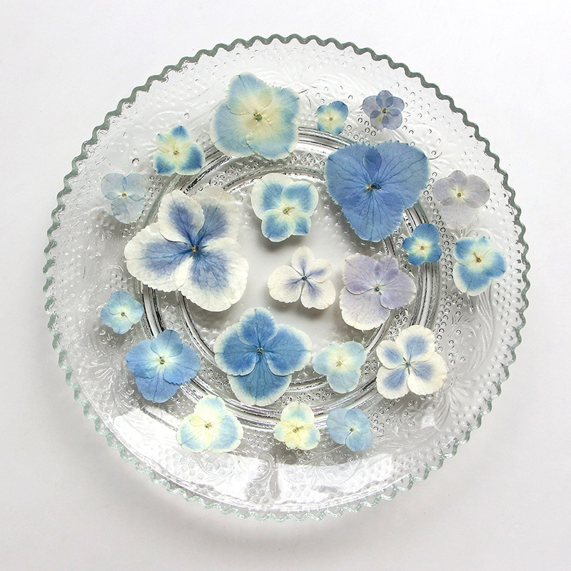 Pressed Dried White Blue Hydra - Resin Art Bookmark review and price