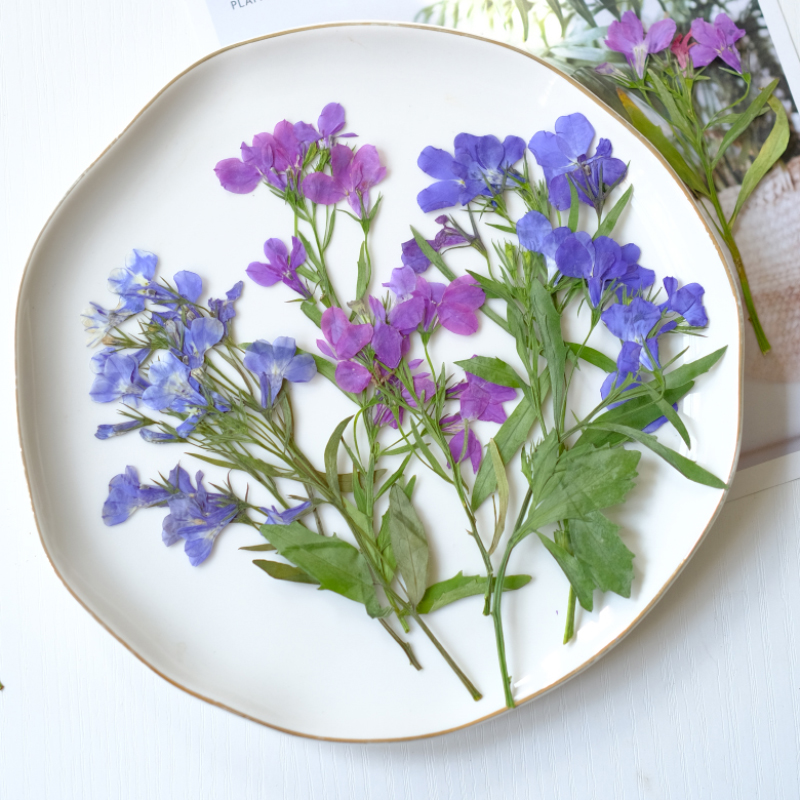 6pcs/8-13cm,nature Lobelia Eri - Resin Art Bookmark review and price