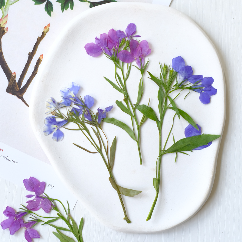 6pcs/8-13cm,nature Lobelia Eri - Resin Art Bookmark review and price