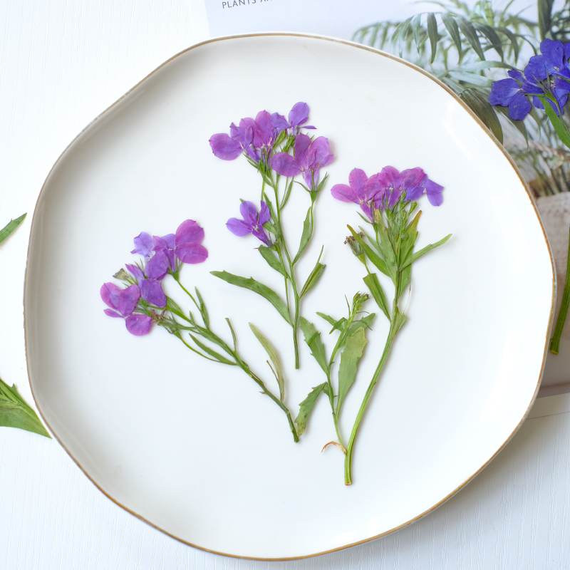 6pcs/8-13cm,nature Lobelia Eri - Resin Art Bookmark review and price