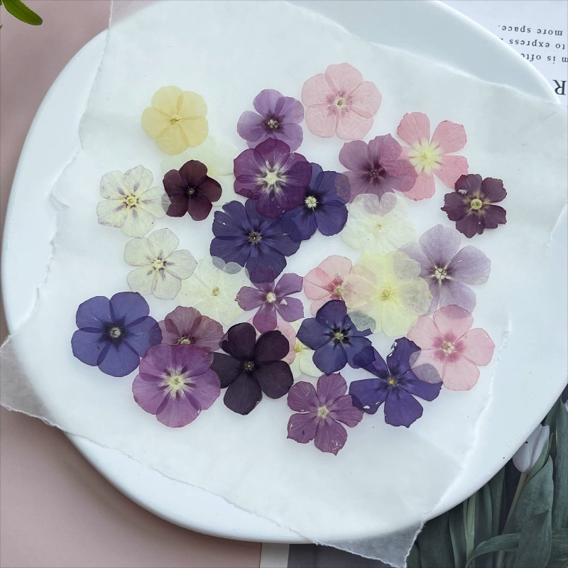 12pcs,Semi-Transparent Niche P - Resin Art Things review and price